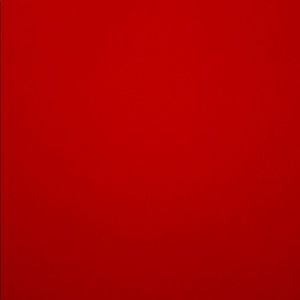 Meet your Posher, Bella